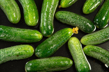 Green cucumbers in water for a wash on a dark background