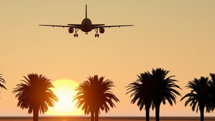 View of palm trees, sky and aircraft flying
