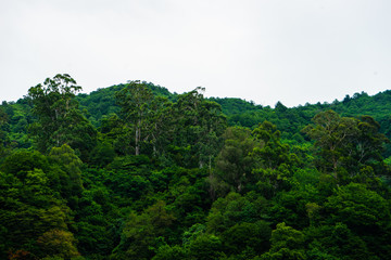 Obraz premium Great caucasus mountains