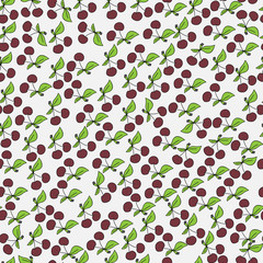Ripe cherries
