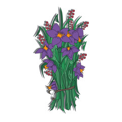 Violet irises, spring flowers