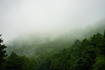 Obraz premium Great caucasus mountains