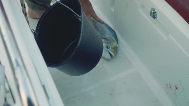 View of dead fresh caught fosh on deck of yacht in cockpit