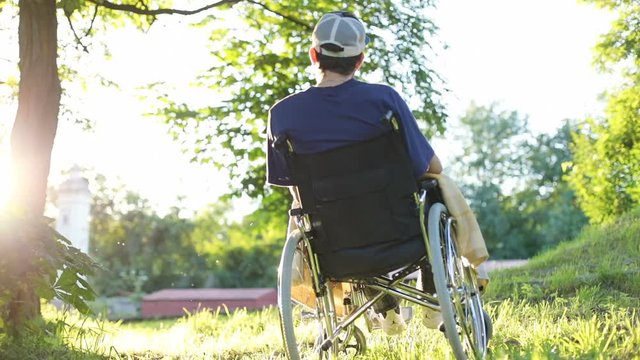 back view of young handicapped man in cap sitting on steel wheelchair in green summer park and enjoying sun shining over the trees unrecognisable male person healthcare medicine disability insurance