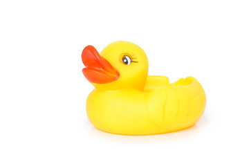 duck yellow on white background