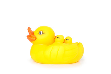 duck yellow on white background