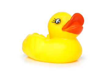 duck yellow on white background