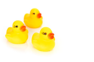 duck yellow on white background