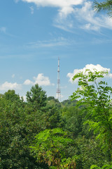 Obraz premium TV tower on a background of blue sky and green trees