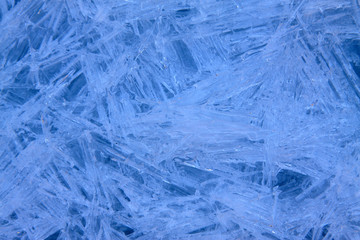 ice flower on the river in winter