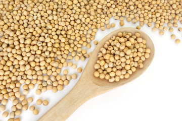 soy bean plant seed healthy vegetable food nature background