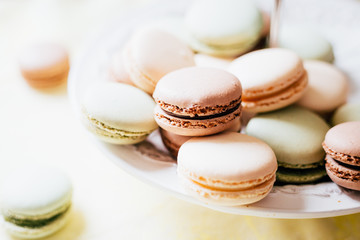 Homemade French Macaroons on the Plate, Pistachio, Coffee and Vanilla Macaroons, Beautiful Wallpaper