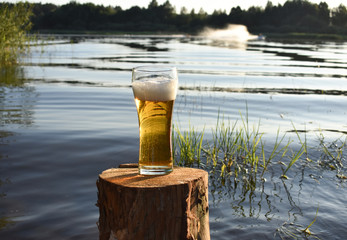 Glass glass with beer on stump against the lake