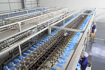 PVC gloves production line overhead in a factory