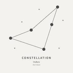 The Constellation Of Indus. The Indian - linear icon. Vector illustration of the concept of astronomy.