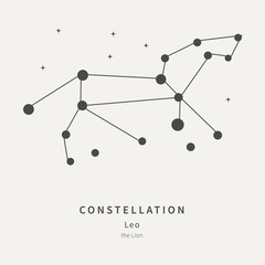 The Constellation of Leo. The Lion - linear icon. Vector illustration of the concept of astronomy.