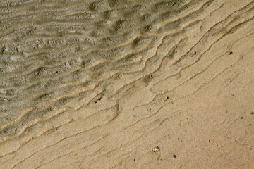 brown beach texture in nature