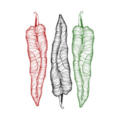 Vector drawn Bulgarian peppers isolated on a white background. It can be used for printing on menu, cards, or used as ideas for tattoos, banners, posters.