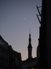 Fototapeta na wymiar Tallin di notte, con luna