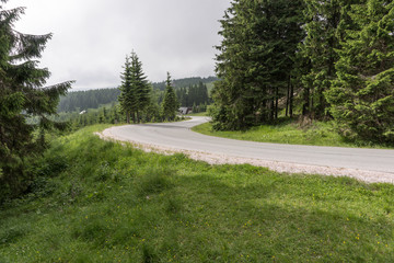 Fototapeta na wymiar Dangerous curve of the road in the forest