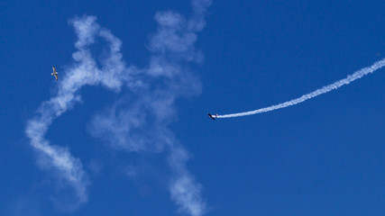 Aereo acrobatico in volo con gabbiano