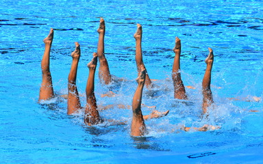 Synchronized Swimmers point up out of the water in action. Synchronized swimmers legs movement....