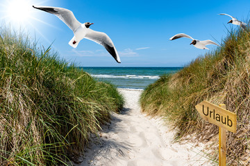 Fototapeta premium Strandweg- Schild Urlaub