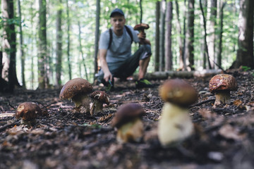 Man collect mushrooms in summer forest