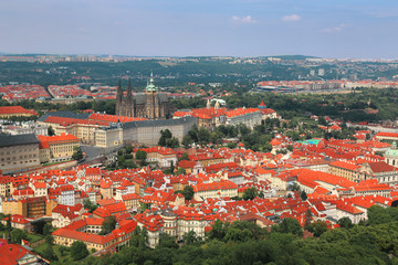 Fototapeta premium View of Prague castle from Petrin hill in Prague, Czech Republic