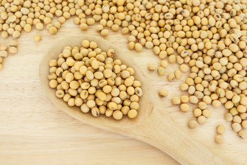 soy bean plant seed healthy vegetable food nature background