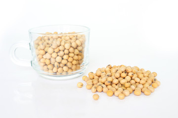 soy bean plant seed healthy vegetable food nature background