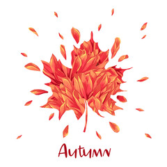Hello Autumn Watercolor Floral Design with Maple Leaf. Seasonal Fall Banner, Poster, Print, Sale, Promo Template. Autumn Abstract Background. Vector illustration