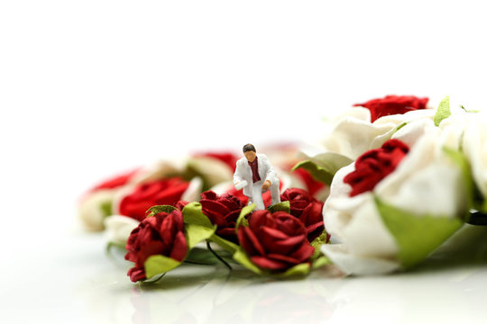 Miniature people : Team worker with Red roses and white roses on white backgroud, valentine day lover concept.