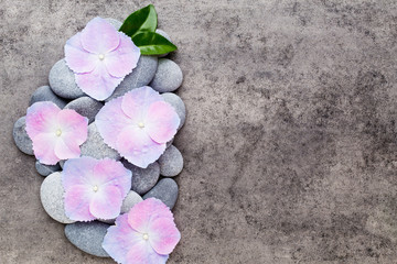 Obraz premium Spa flowers and massage stone, on grey background.