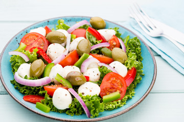 Vegetable salad with cheese mozzarella, tomatoes, basilikum and spice.