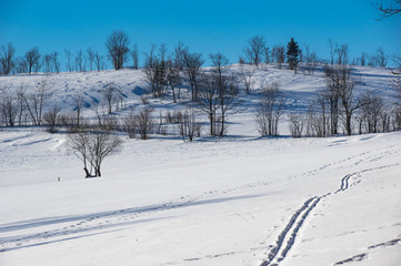 Winterlandschaft bei Altenberg mit Spuren im Schnee