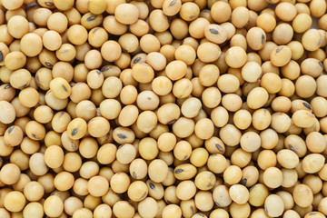 soy bean plant seed pile healthy vegetable food nature background