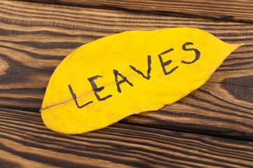 Handwritten inscription of black color LEAVES on yellow falling autumn leaf on old rustic brown board