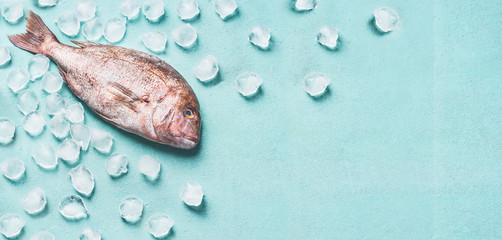 Raw whole fish on light turquoise background with ice cubes, top view with copy space. Healthy seafood concept. Pink dorado, banner