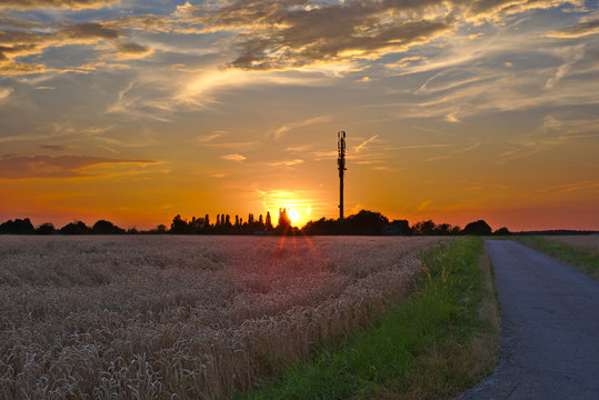 Sonnenuntergang Seelbach