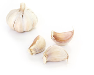 garlic vegetable ingredient on white background