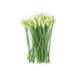 chinese chive flowerring onions stalk vegetable food on white background