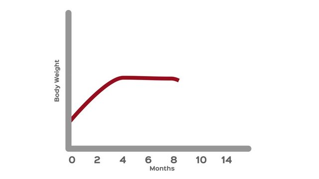 weight scale with a graph vector / fat and slim graphic animation