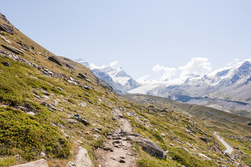 Fototapeta premium Zermatt, Adlerhorn, Findelgletscher, Gletscher, Wanderweg, Alpen, Blauherd, Strahlhorn, Stockhorn, Alpinismus, Moräne, Walliser Berge, Sommer, Schweiz