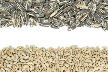 seed sunflower pile frame on white background.