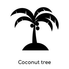 coconut tree icon isolated on white background. Modern and editable coconut tree icon. Simple icons vector illustration.