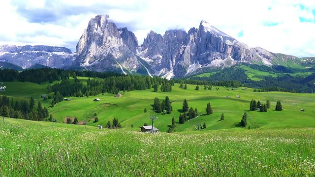 View of the beautiful Dolomites the mountain peak of Langkofel Group at Seiser Alm with the beautiful field of yellow flowers swaying in the wind and small Italian village in South Tyrol, Italy.