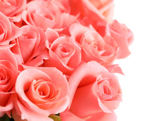 Bouquet of beautiful roses on white background