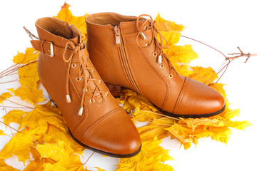 Pair of brown female boots with autumn leaves  on white background