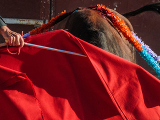 Bullfight - Matadors sword and cape with bull and barbs
